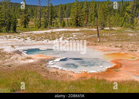 Piscine thermale au milieu des pins le bassin thermal de Shoshone dans le parc national de Yellowstone, dans le Wyoming Banque D'Images