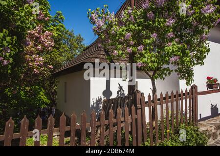 Maisons traditionnelles avec des fleurs dans le village de Holloko en Hongrie. Banque D'Images