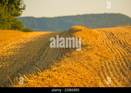 Champ de chaume avec de la paille et une vue panoramique sur les montagnes du Jura Souabe allemand Banque D'Images