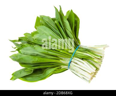bouquet d'ail frais sauvage (ramson) isolé sur fond blanc Banque D'Images