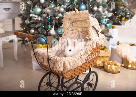 Un lapin blanc se trouve à l'intérieur d'une poussette rétro pour poupées. Décoration de Noël, arbre de Noël avec guirlandes lumineuses. Nouvelle année. Animaux domestiques à la maison Banque D'Images