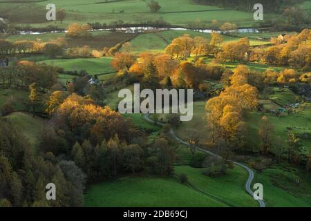 Lumière du matin brillant sur les arbres de couleur automnale avec un chemin de courbure menant à travers le paysage. Prise dans le district de English Lake. Banque D'Images