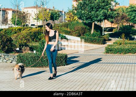 Femme marchant chien dans la rue de la ville Banque D'Images