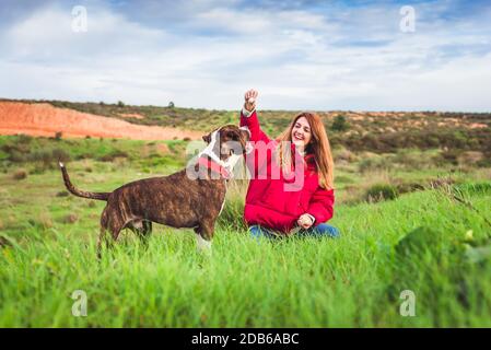 Jeune femme assise avec un terrier américain du Staffordshire Banque D'Images