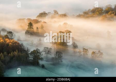 Rayons de lumière dorés pénétrant dans une épaisse brume automnale le matin d'une journée glaciale dans le district des lacs anglais. Banque D'Images