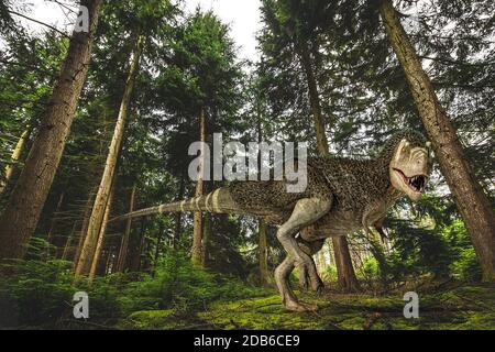 T-Rex avec plumes dans la forêt. Illustration photoréaliste en trois dimensions. Banque D'Images