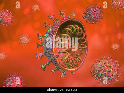 Scène du virus Corona avec structure détaillée et coupe transversale. Rendu tridimensionnel sur fond rouge/orange. Banque D'Images