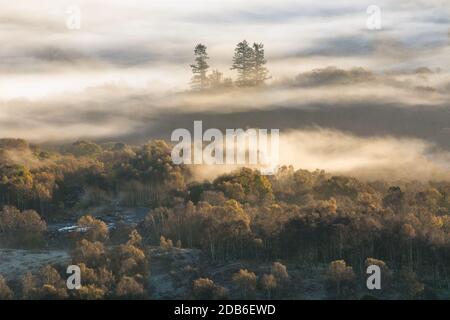 Brume persistante sur les arbres baignés de soleil matinal dans le Lake District. Banque D'Images