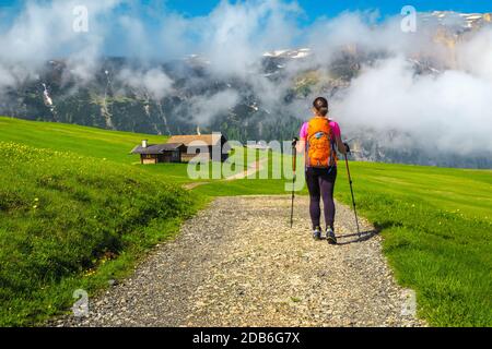 Sentier de randonnée avec cabanes en bois. Femme sportive de randonneur de routard marchant sur le chemin dans les montagnes, Alpe di Siusi, Dolomites, Italie, Europe Banque D'Images