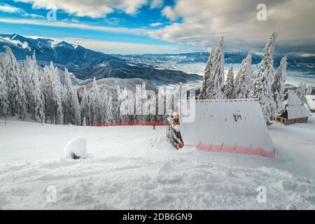 Paysage hivernal enneigé et pistes de ski dans la forêt de pins. Chalets alpins confortables et enneigés à proximité de fantastiques pistes de ski, Poiana Brasov, Carpates, Transy Banque D'Images