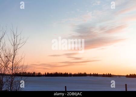 Hiver champ des prairies canadiennes avec coucher de soleil sur l'horizon, arbres et clôture, champ couvert de neige Banque D'Images