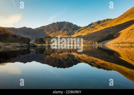 Rangée de pins reflétée dans un quartier calme de Buttermere, Lake District, Royaume-Uni. Banque D'Images