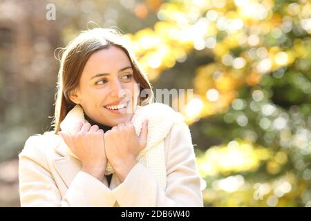 Portrait d'une femme heureuse regardant le foulard noué sur le côté dans un parc en hiver ou en automne dans un parc ou forêt Banque D'Images