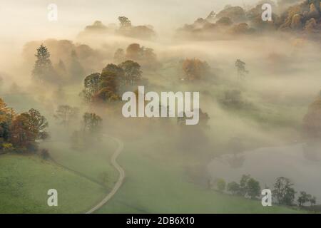 Matin brouillard brumeux sur les arbres à Loughrigg Tarn lors d'une matinée fraîche en automne. Banque D'Images