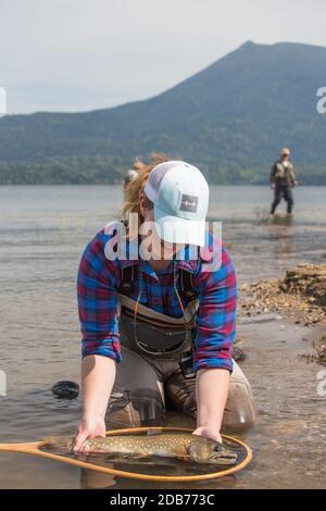 Femme libérant de l'omble doré capturé pendant la pêche, lac Akan, Hokkaido, Japon Banque D'Images