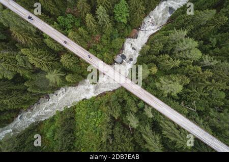 Vue aérienne du fleuve passant par la forêt, Ernen, Valais, Suisse Banque D'Images