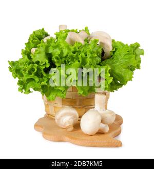 Champignons frais dans un panier sur le tableau de cuisson Banque D'Images