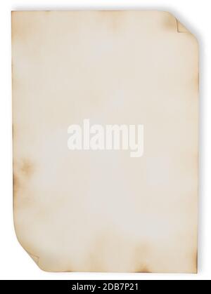 Feuille de papier brûlé isolée sur fond blanc Banque D'Images