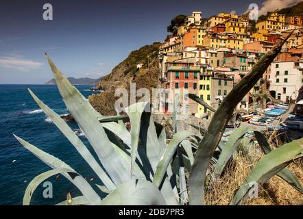 Riomaggiore, Italie - 6 septembre 2011: Riomaggiore - l'une des villes de Cinque Terre en Italie Banque D'Images