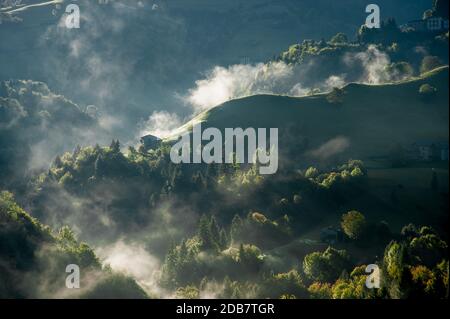 brouillard le matin éclairé par le soleil Banque D'Images