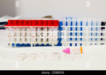 Valence, Valence, Espagne. 16 novembre 2020. Les tests PCR Covid-19 ont préparé, pendant l'état d'alarme dans la ville de Valence, Espagne, le 16 novembre 2020. Credit: Xisco Navarro/ZUMA Wire/Alay Live News Banque D'Images
