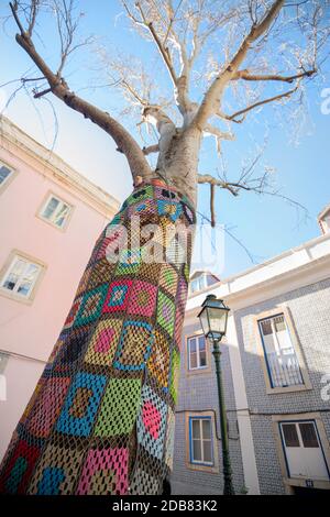 Magnifique arbre unique dans le quartier de Mouraria à Lisbonne, Portugal Banque D'Images