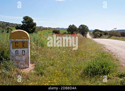 Paisaje con mojón en el de Albacete. Castilla la Mancha. Espagne Banque D'Images
