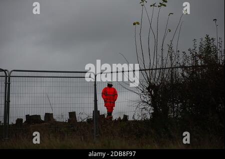 Aylesbury Vale, Buckinghamshire, Royaume-Uni. 16 novembre 2020. Jusqu'à il y a quelques jours, la forêt de Ditch de Grim dans la vallée d'Aylesbury était une zone prospère de bois et de haies pleine de faune. Grim's Ditch est un important travail de terrassement et est prévu comme un monument ancien. Les arbres en faisant partie, ont maintenant été détruits par HS2. Aujourd'hui, les derniers membres des arbres pleins d'insectes et de vie ont été recueillis par les travailleurs de HS2 pour être mis à travers un broyeur de bois. La liaison ferroviaire à grande vitesse entre Londres et Birmingham est à l'origine de nombreuses détestations dans les campagnes. Crédit : Maureen McLean Banque D'Images