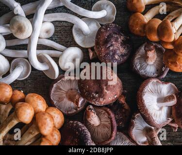 Vue en hauteur des champignons sauvages mélangés sur une table en bois Banque D'Images