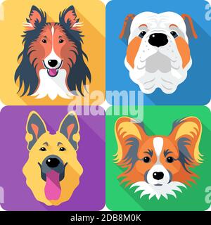 Chien vectoriel Grenouillé collie, papillon, berger allemand et race anglaise de Bulldog face Icon conception plate Banque D'Images