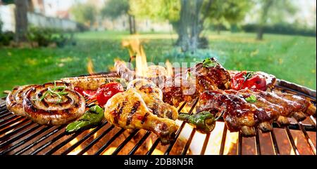 Assortiment de viandes mélangées sur un barbecue au-dessus des coals flamboyants dans un parc de printemps vert ou un jardin avec saucisses, poulet et côtes de porc épicées Banque D'Images