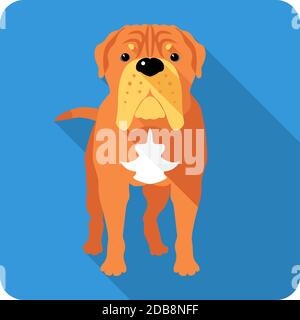 Vector Serious dog French Mastiff ou Dogue de Bordeaux conception plate Banque D'Images