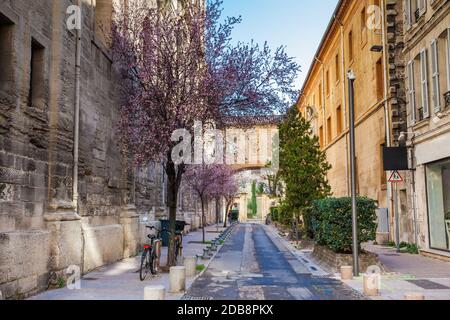 Deux vélos garés sur la rue Frederic Mistral au Ville fortifiée d'Avignon France Banque D'Images