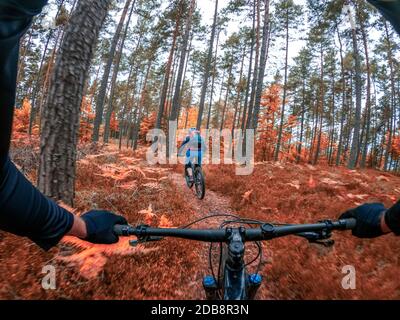 Perspective personnelle d'une femme VTT dans la forêt d'automne, Klagenfurt, Carinthie, Autriche Banque D'Images