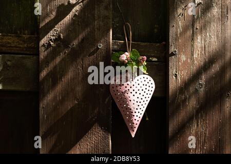 Un coeur rose avec des fleurs de pomme à la fête des mères sur fond de bois ancien.espace pour le texte. Banque D'Images