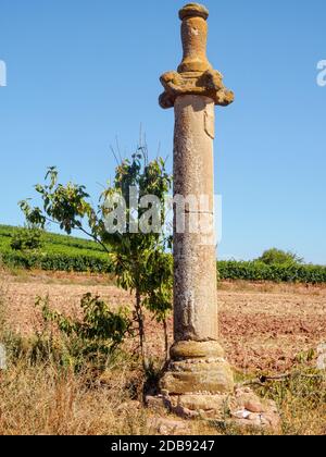 XVIe siècle la picotta (columna justicia) sur le Camino - Azofra, la Rioja, Espagne Banque D'Images