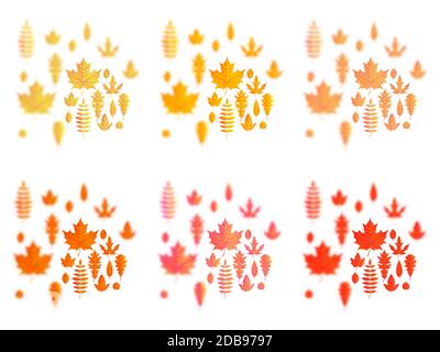 Ensemble de feuilles d'automne ou d'icônes de feuillage de chute. Feuille d'érable, de chêne ou de bouleau et de rowan. Feuilles d'automne de peuplier, de hêtre ou d'orme et de tremble pour la saison Banque D'Images
