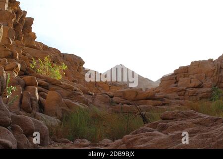 Lever du soleil incroyable au Sinaï, la montagne belle aube en Egypte, belle vue de la montagne Banque D'Images