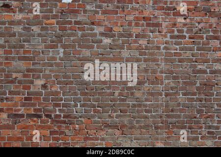 Vue en gros plan détaillé sur un mur de brique rouge et survécu à la texture en haute résolution Banque D'Images