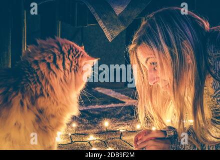 Un chat au gingembre et une femme qui regarde les lumières de Noël Banque D'Images