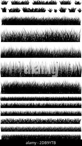 De nombreux différents types d'herbe en vecteur - panorama Illustration de Vecteur