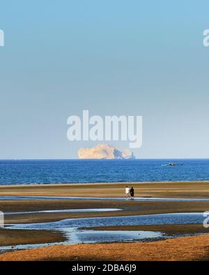 Plage de Qurum à Muscat avec l'île de Jazirat al Fahl en arrière-plan. Banque D'Images