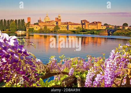 Ville de Mantova vue tôt le matin à travers des fleurs du lago Inferiore, capitale européenne de la culture et site du patrimoine mondial de l'UNESCO, Lombardie r Banque D'Images