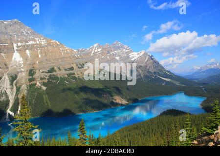 Lac Peyto par une belle journée ensoleillée Banque D'Images