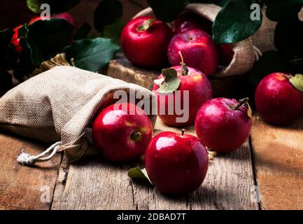 Pommes rouges avec des gouttes sur fond de bois vintage, style rustique, attention sélective Banque D'Images
