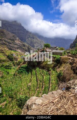 Paul Valley paysage dans l'île de Santo Antao, Cap-Vert, Afrique Banque D'Images