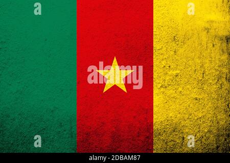 Drapeau national de la République du Cameroun. Fond Grunge Banque D'Images