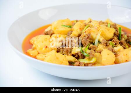 Le Mapo Tofu, un plat populaire en Chine. La recette classique se compose de tofu soyeux, de porc ou de boeuf au poivre de Sichuan et de nommer quelques ingrédient principal Banque D'Images