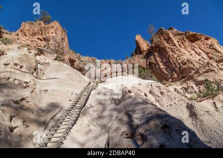 Une échelle en bois mène à une grotte ouvrante sculptée Dans une falaise de grès par le peuple Pueblo à Frijoles Canyon situé à Bandelier National Monumen Banque D'Images