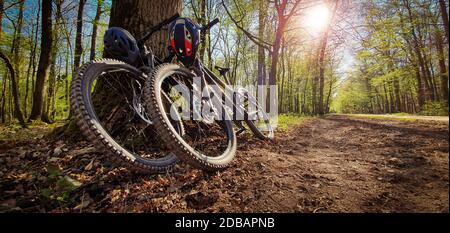 Deux VTT se pencha sur un arbre à côté d'un beau sentier forestier vert avec le soleil qui brille à travers les arbres. Concept de vélo tout terrain. Banque D'Images